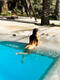 Nuda in piscina
