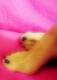 Piedi